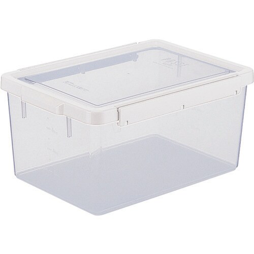 TW−100 W パッセタイト