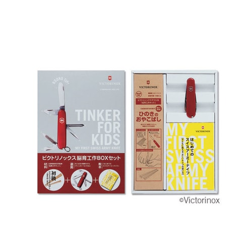 脳育工作BOXセット ひのきのおやこばし