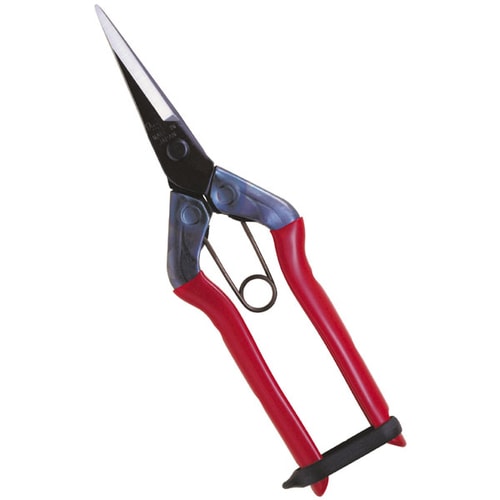 芽切鋏 尖直長刃 箱入 T−551