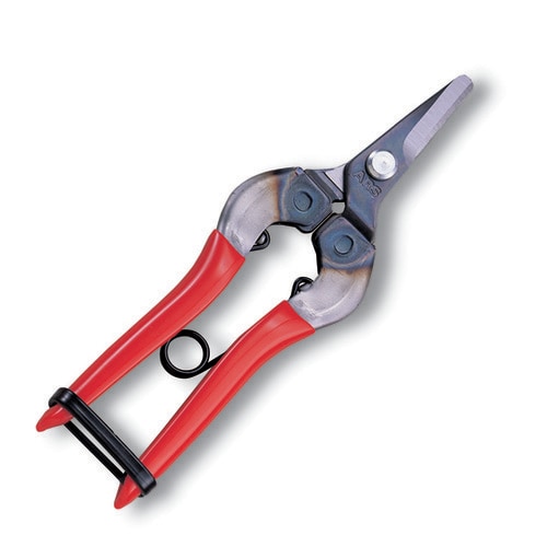 310 採果鋏 箱入