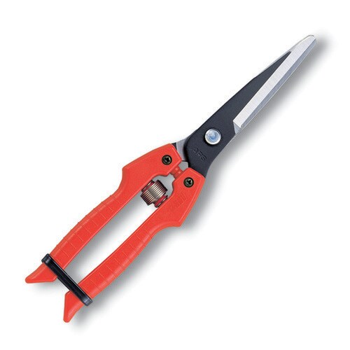 SE−65 青果鋏 玉ねぎ用 箱入