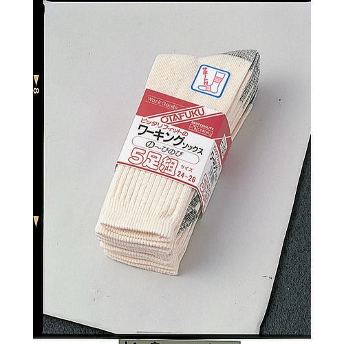 フィットワーキングソックス5足組(キナリ先丸)