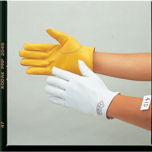 カワテクレスト(カフス無) ホワイト