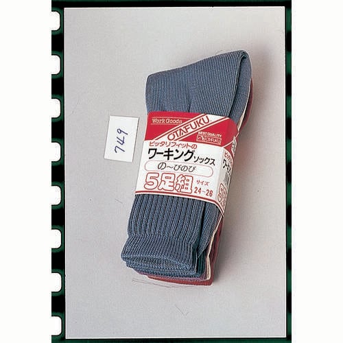 フィットワーキングソックス5足組(カラー先丸)