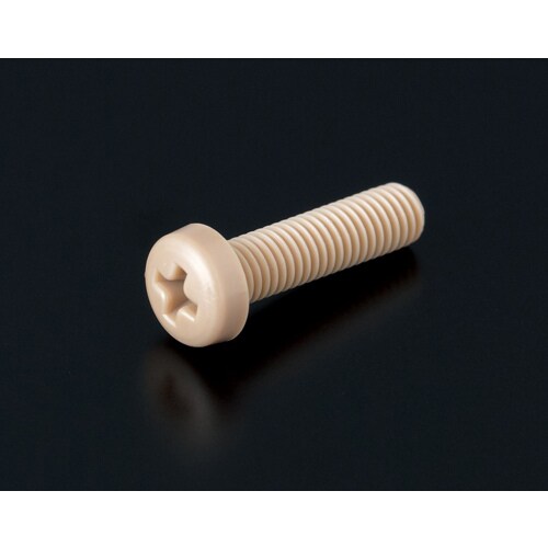 PEEK(+)ナベ小ネジ M8 L16 10個入