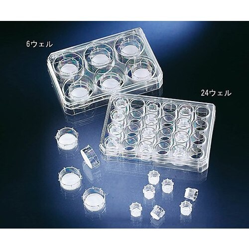 セルカルチャーインサート 140640