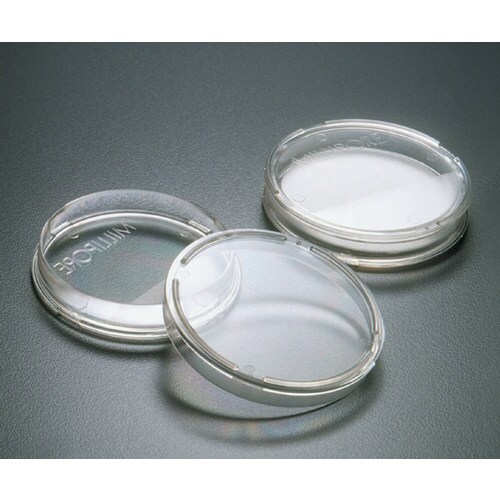 アンプル培地 PD20047S0