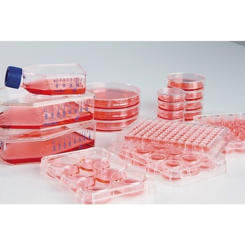 細胞培養プレ−ト 174925 96穴丸底