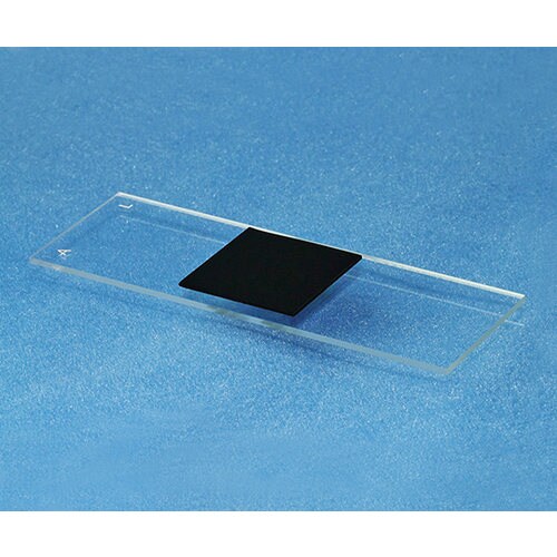 カーボンナノチューブアレイ A01−05