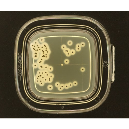 【冷】DDチェッカ−(細菌検出用培地)TGSE寒天