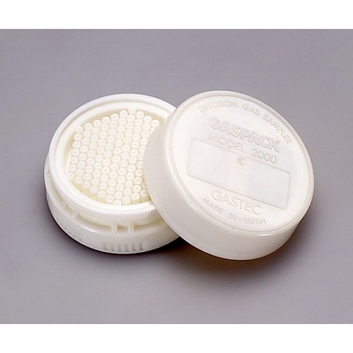 ガスパック 2000