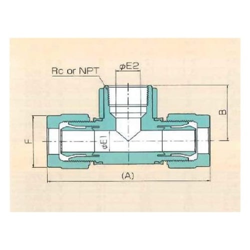 00N−117−04 フメイルブランチテ