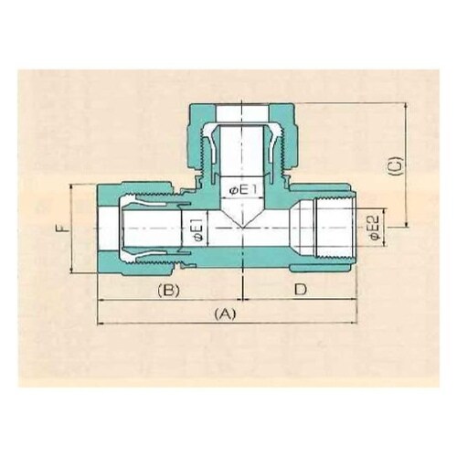00N−118−10 フィメイルランティ
