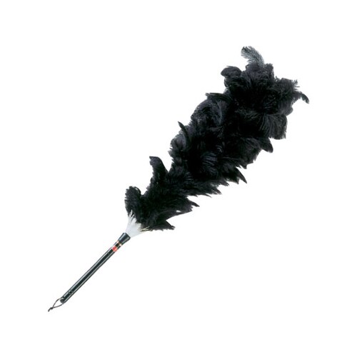 53052 ダチョウ自動車はたき 上