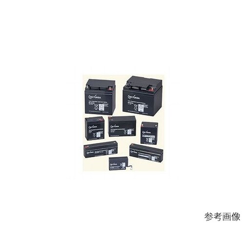PE6V7.2F4/Z 鉛蓄電池