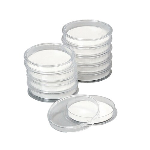 42004020 ペトリディッシュ