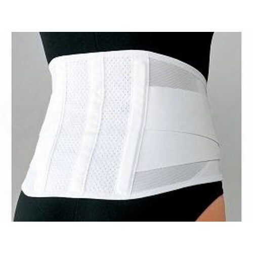 マックスベルト CHライト/ホワイト/S×3