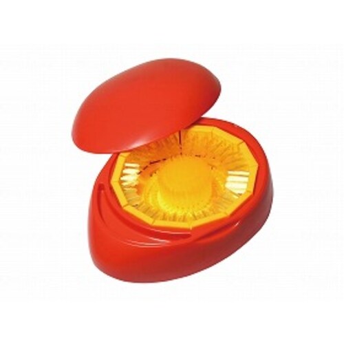 デンチャーブラシ 本体×3