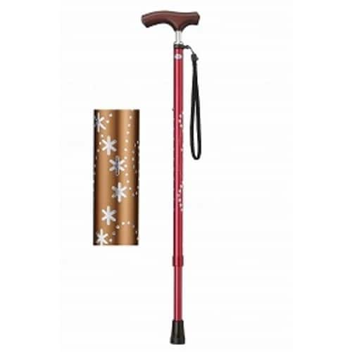 キララ・ケイン/星柄 金