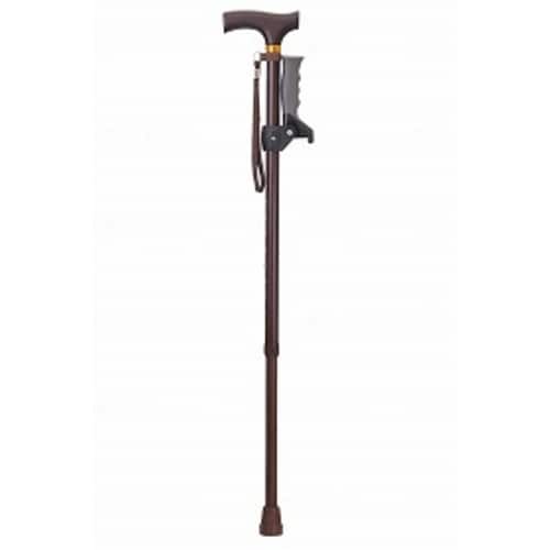 たつサポ/ブラウン