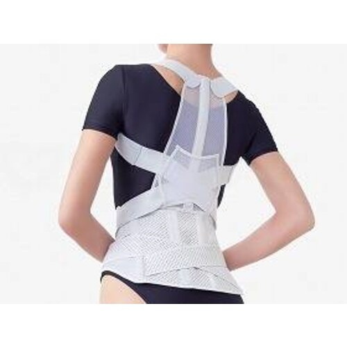 お医者さんの腰から正す姿勢ベルト L−LL