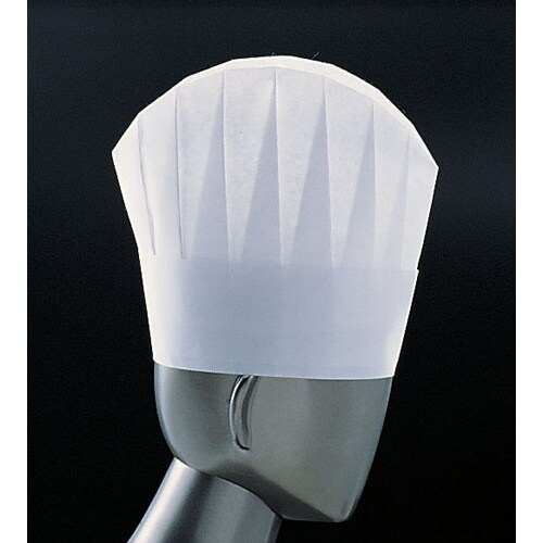 パリス ライトハット N33110(10枚入)