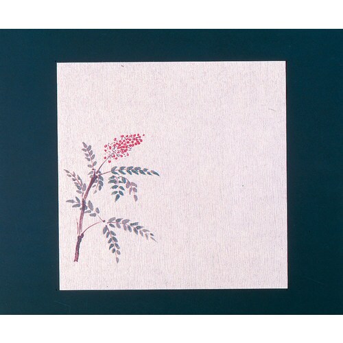 グルメ敷紙5寸(100枚入)南天