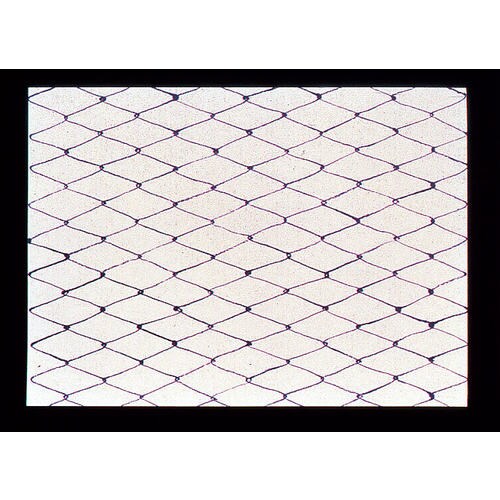 遠赤保鮮紙 小 (100枚入) 網