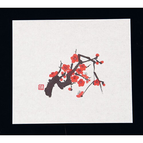 鮮度保持紙(100枚入) 紅梅 M30−086