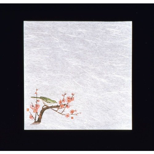 新・濡れ奉書紙(100枚入)  梅