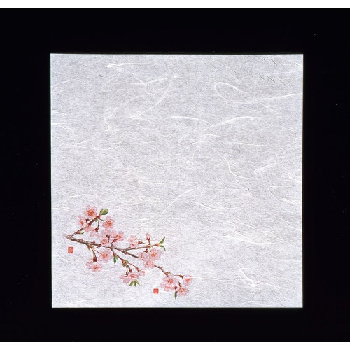 新・濡れ奉書紙(100枚入)  桜