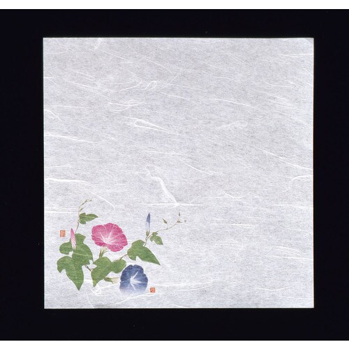 新・濡れ奉書紙(100枚入) 朝顔