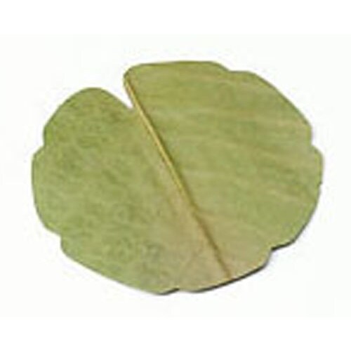 干朴葉懐敷(緑)100枚入 25995 丸型(小)