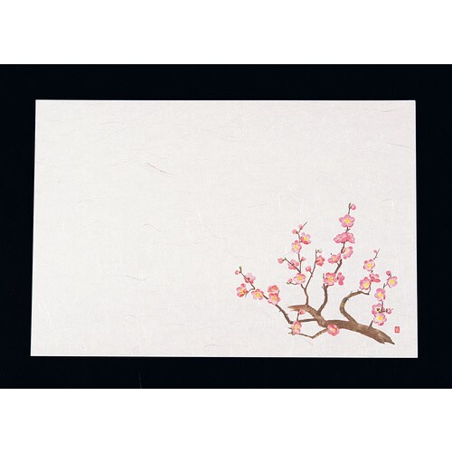 尺3四季懐石まっと(50枚入) 梅