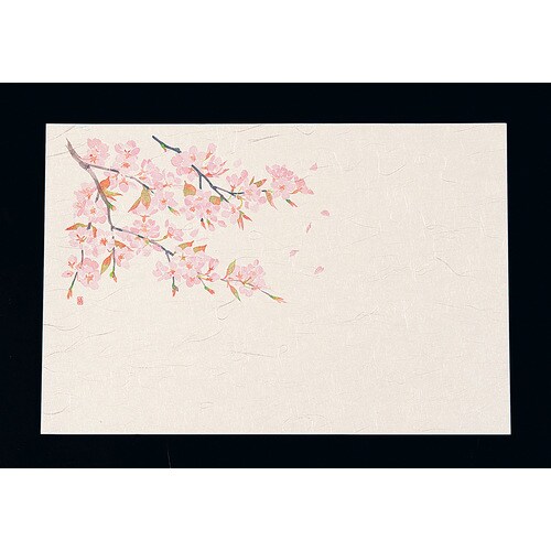 尺3四季懐石まっと(50枚入) 桜
