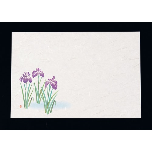 尺3四季懐石まっと(50枚入) 菖蒲