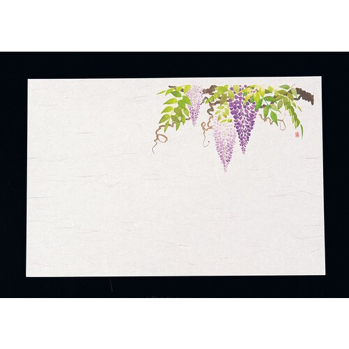 尺3四季懐石まっと(50枚入) 藤