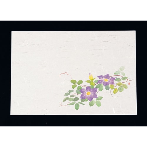 尺3四季懐石まっと(50枚入) 鉄線