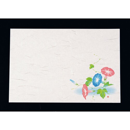 尺3四季懐石まっと(50枚入) 朝顔