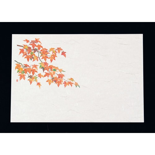 尺3四季懐石まっと(50枚入) 紅葉