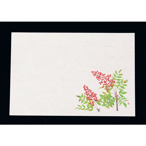 尺3四季懐石まっと(50枚入) 南天