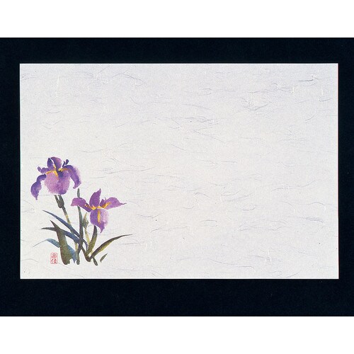 四季紙・千寿(100枚入) あやめ M30−207