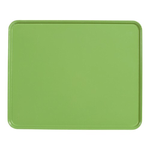 カムトレー(FRP) 2025 ライムエイド