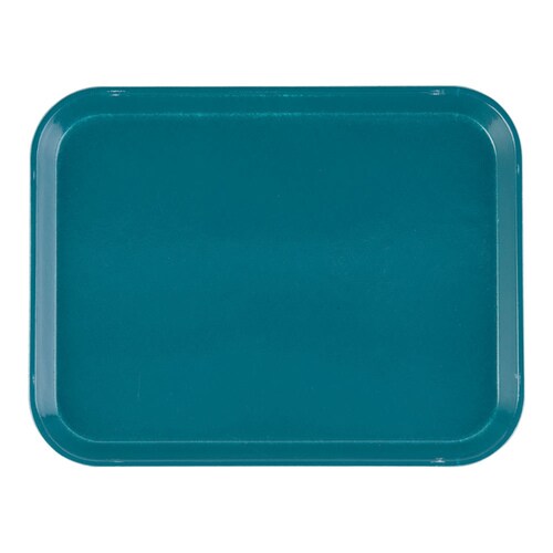 カムトレー(FRP) 1014 ティール