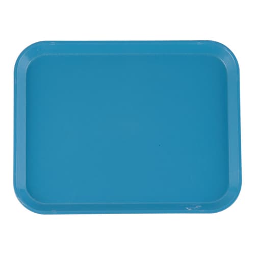 カムトレー(FRP) 1014 ロビンエッグブルー