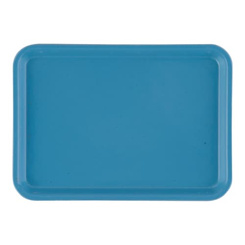 カムトレー(FRP) 57 ロビンエッグブルー