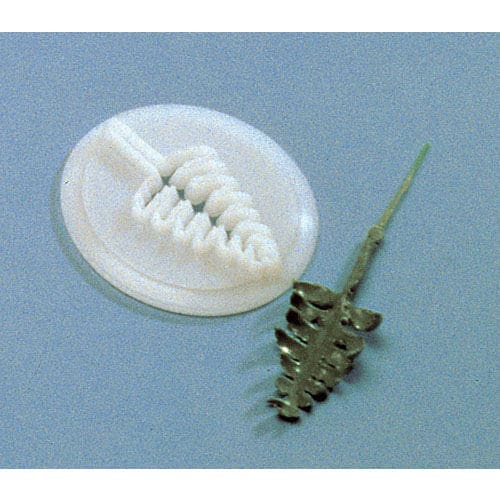 シダの葉抜型 86168