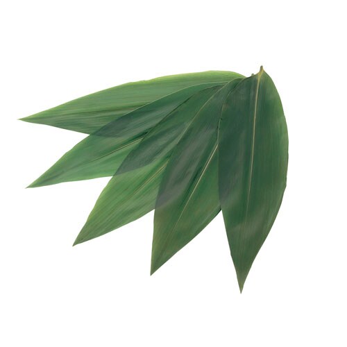 真空笹葉(1パック100枚入り) 5143 L