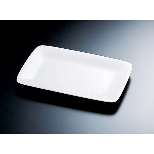 角プラター D−154 10インチ