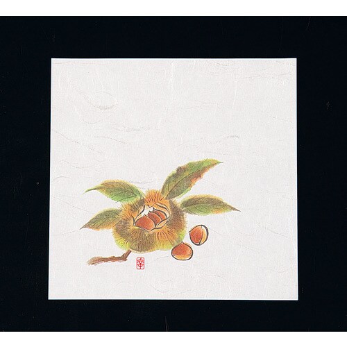 ニュー四季懐紙 5寸(100枚入) NS−13 栗